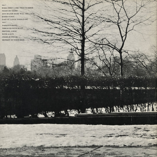 Steely Dan - Pretzel Logic (ABCD-808) LP 1974 US ABC|中古LP