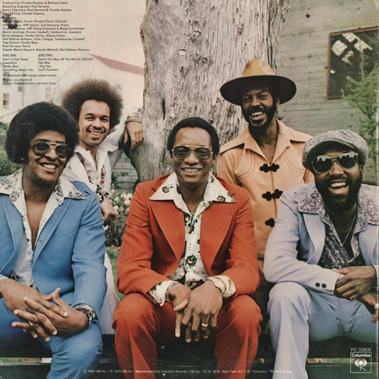 Ramsey Lewis - Don't It Feel Good (PC 33800) 1975 US Columbia|中古LP