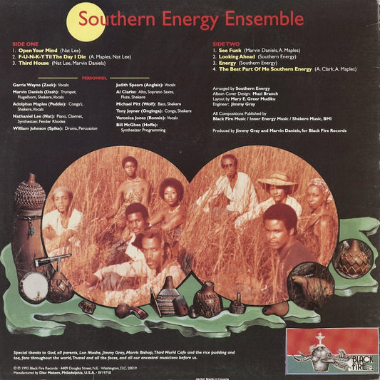 Southern Energy Ensemble - Southern Energy Ensemble (BF19758) 1993 US Black Fire Records|中古LP