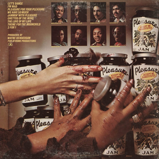 Pleasure – Accept No Substitutes (F-9506) LP 1976 US Fantasy | 中古LP