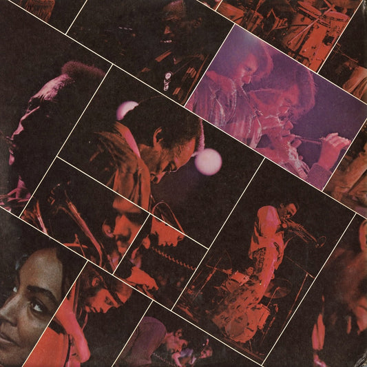 Miles Davis / マイルス・デイヴィス / At Fillmore (G 30038)