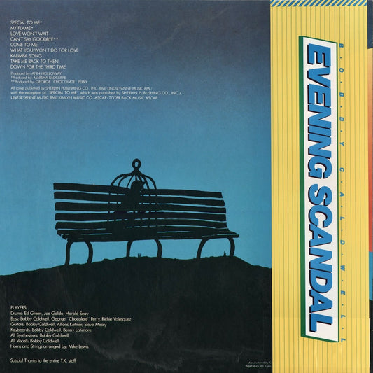 Bobby Caldwell - Bobby Caldwell (25AP 1354) LP 1978 JPN TK Records|中古LP