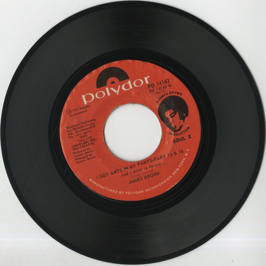 James Brown / ジェイムズ・ブラウン / I Got Ants In My Pants -7 (PD 14162)