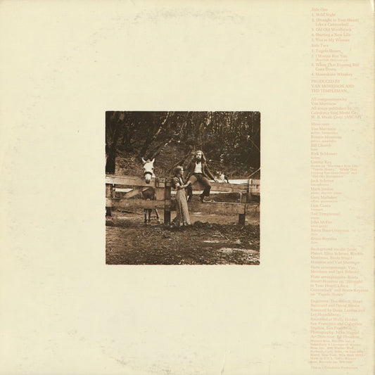 Van Morrison - Tupelo Honey (WS 1950) 1971 US Warner|中古LP