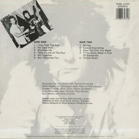 Ronnie Wood / ロニー・ウッド / Cancel Everything (THBL-2.034)