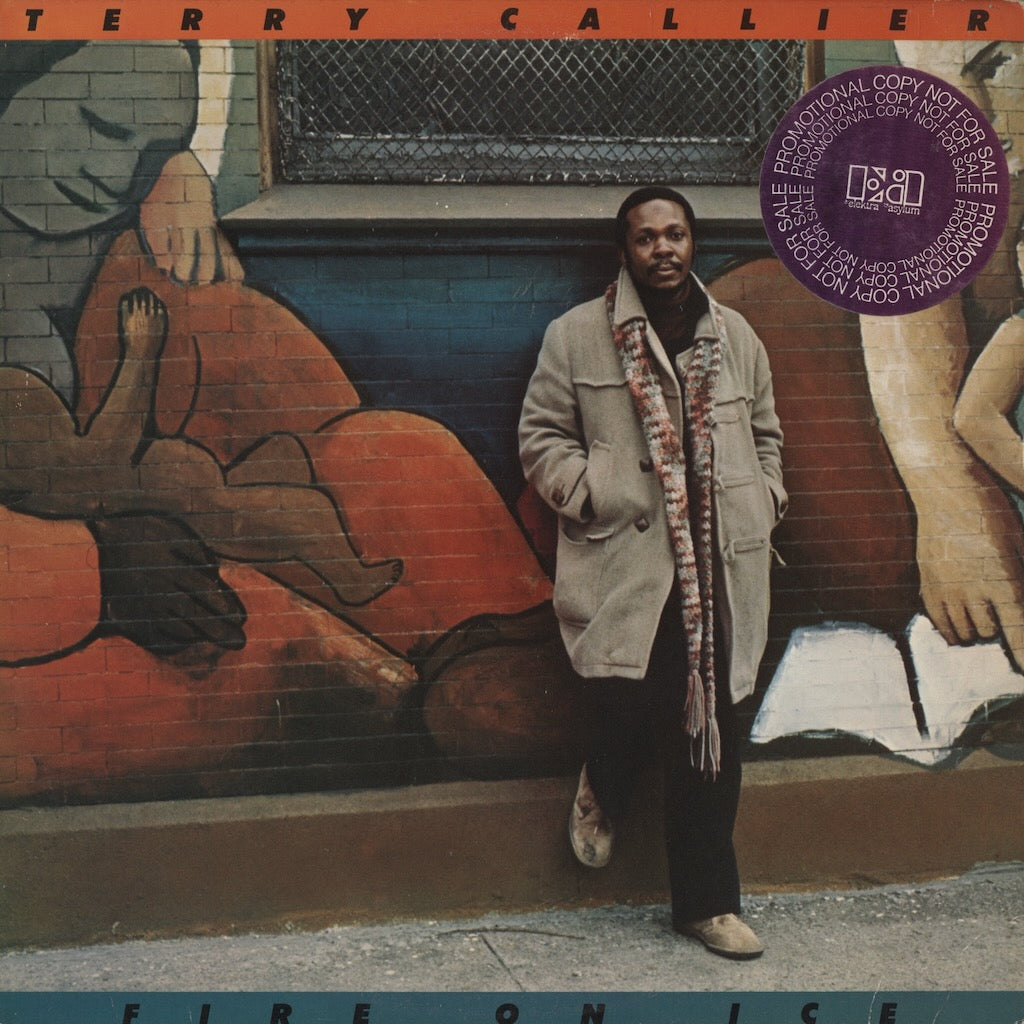 Terry Callier / テリー・キャリアー / Fire On Ice (6E-143