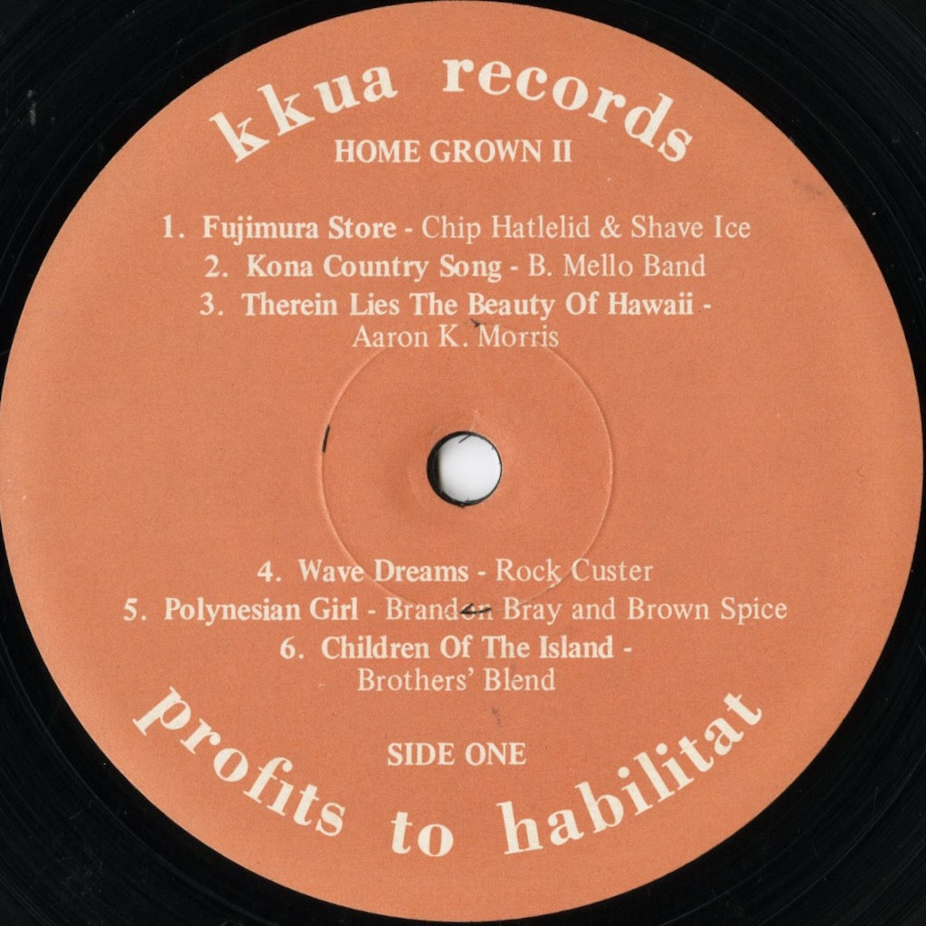 V.A./ Home Grown / ホーム・グロウン / 2 : Nohelani Cypriano / Ray Gooliak etc.
