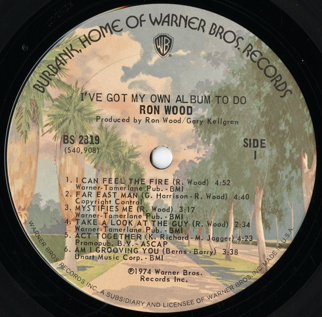 Ron Wood / ロン・ウッド / I've Got My Own Album to Do (BS 2819)