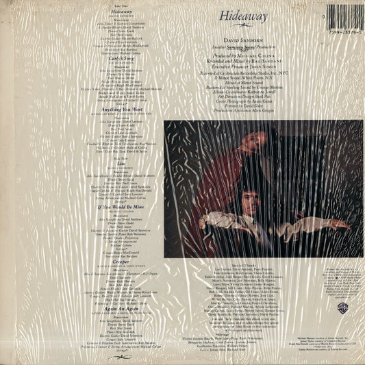 David Sanborn / デヴィッド・サンボーン / Hideaway (BSK 3379)