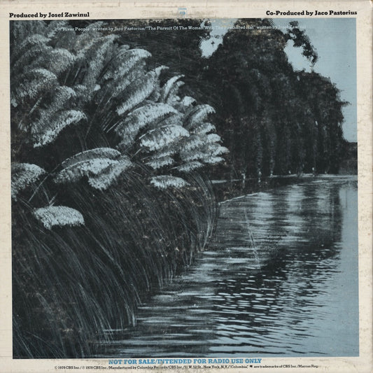 Weather Report - River People / The Pursuit Of The Woman With The Feathered Hat (ASD 515) 12inch 1978 US Columbia / ARC|中古12inch