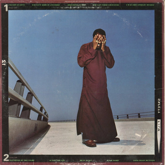 Richie Havens - The End Of The Beginning (SP-4598) 1976 US A&M|中古LP