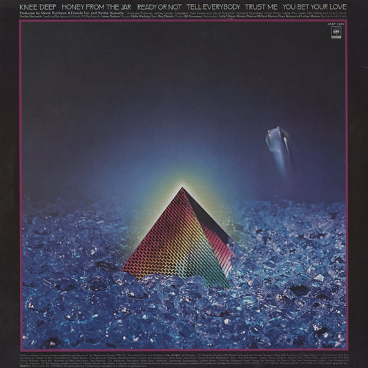 Herbie Hancock / ハービー・ハンコック / Feets Don't Fail Me Now (25AP-1340)