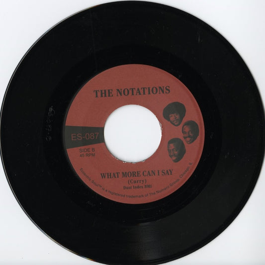 The Notations / ノテイションズ / I'm Still Here / What More Can I Say -7 (ES087)