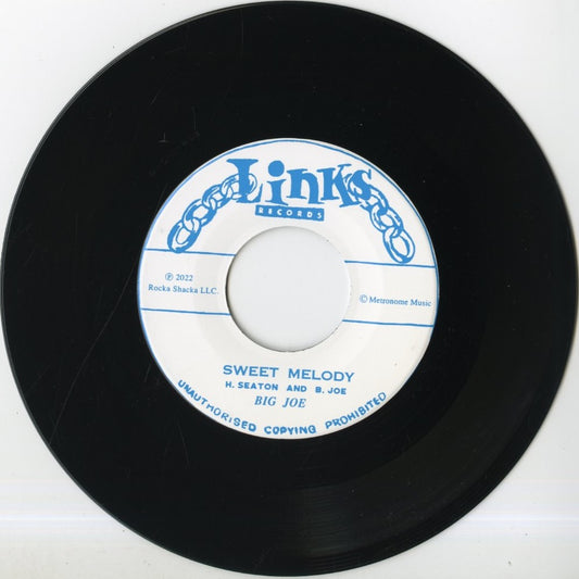 The Gaylods / ゲイラッズ / Looking for A Girl -7