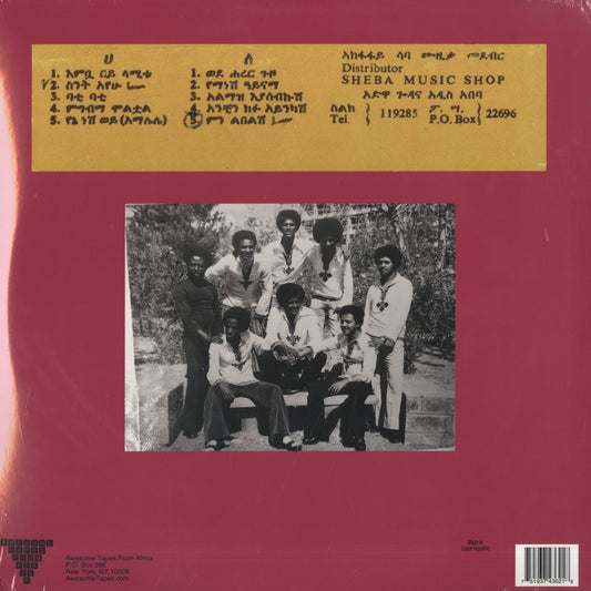 Hailu Mergia - Wede Harer Guzo (ATFA021) 2016 US Awesome Tapes From Africa|新品2LP