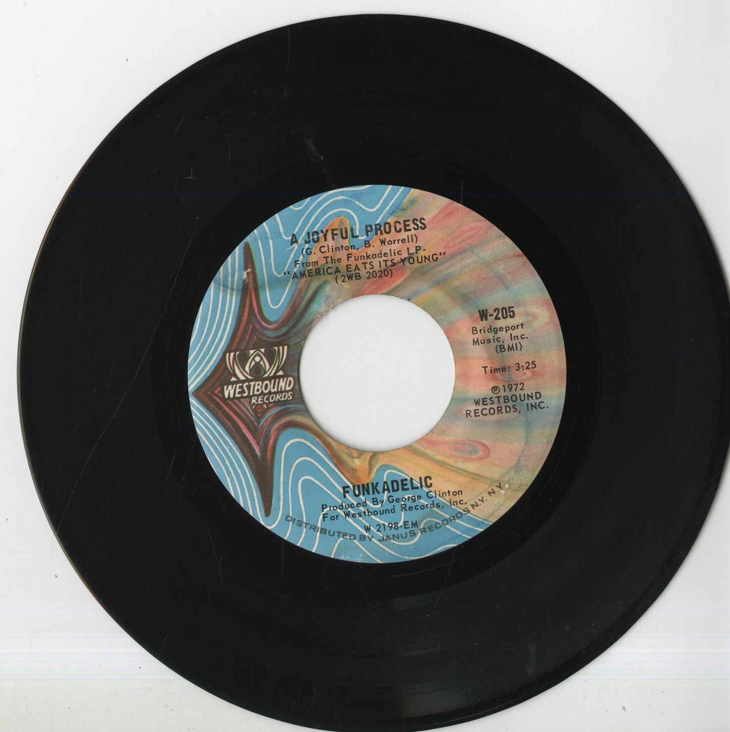 Funkadelic / ファンカデリック / Loose Booty -7 (W-205)