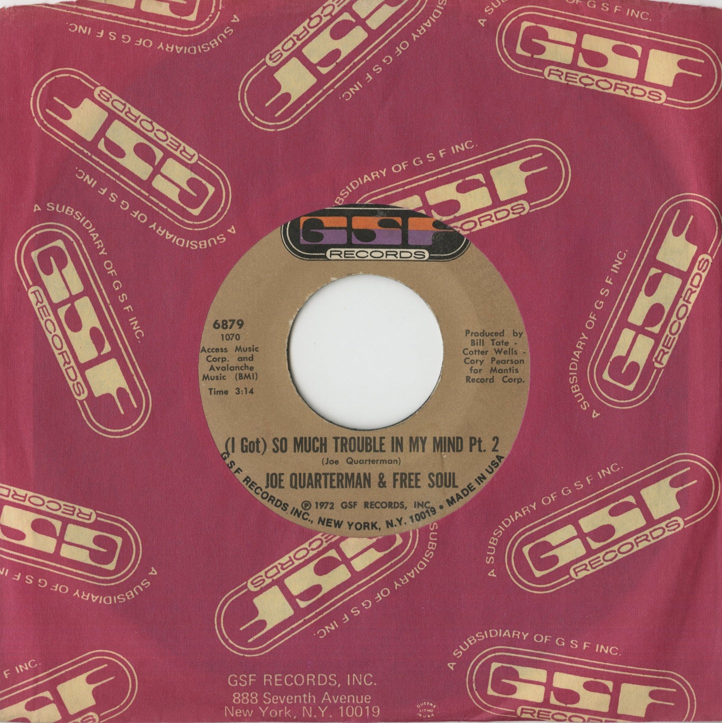 Joe Quarterman and Free Soul / ジョー・クォーターマン&フリー・ソウル / (I Got) So Much Trouble In My Mind (part1&2) -7 (6879)