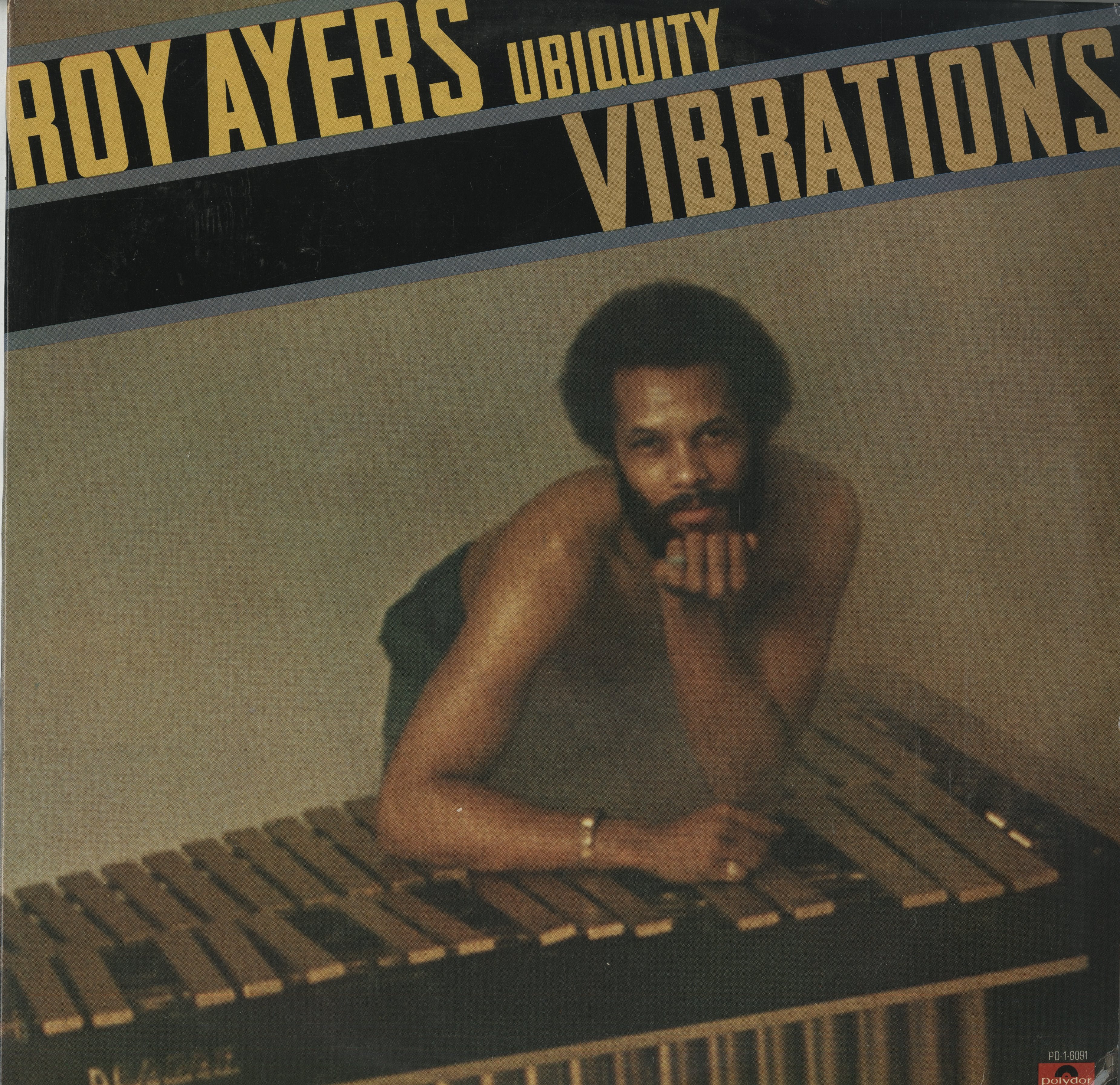 Roy Ayers Vibrations レコード LP ロイ・エアーズ Roy Ayers / ロイ・エアーズ / Vibrations (PD-1-6091