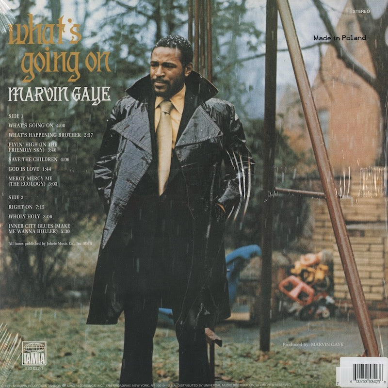 Marvin Gaye / マーヴィン・ゲイ / What's Going On (180g)