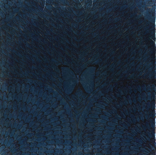 Santana / サンタナ / Borboleta (PC33135)