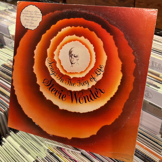 Stevie Wonder / スティーヴィ・ワンダー / Songs In The Key Of Life -2LP (T13-340C2) US Tamla盤 ブックレット・７インチ付属