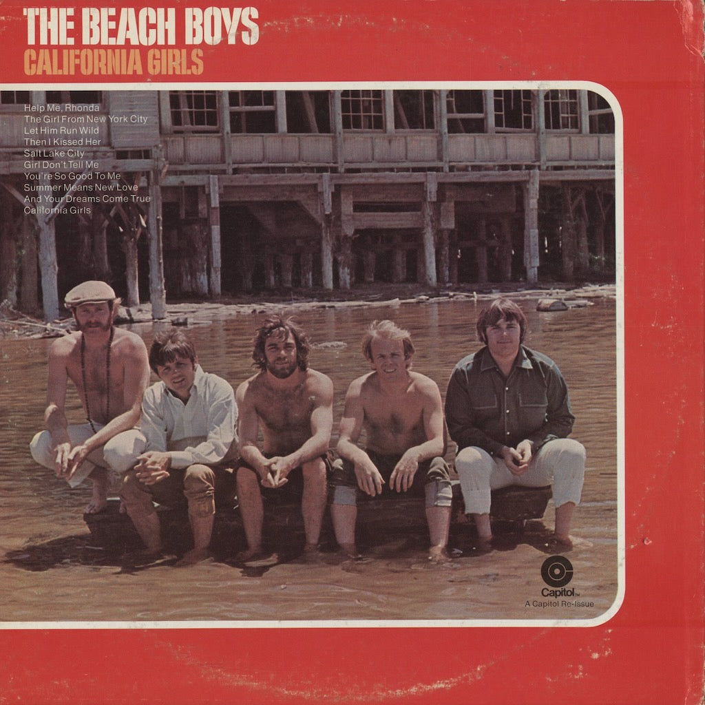 The Beach Boys / ビーチ・ボーイズ / California Girls (DF-502)