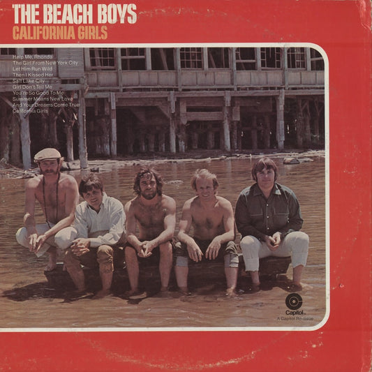 The Beach Boys / ビーチ・ボーイズ / California Girls (DF-502)
