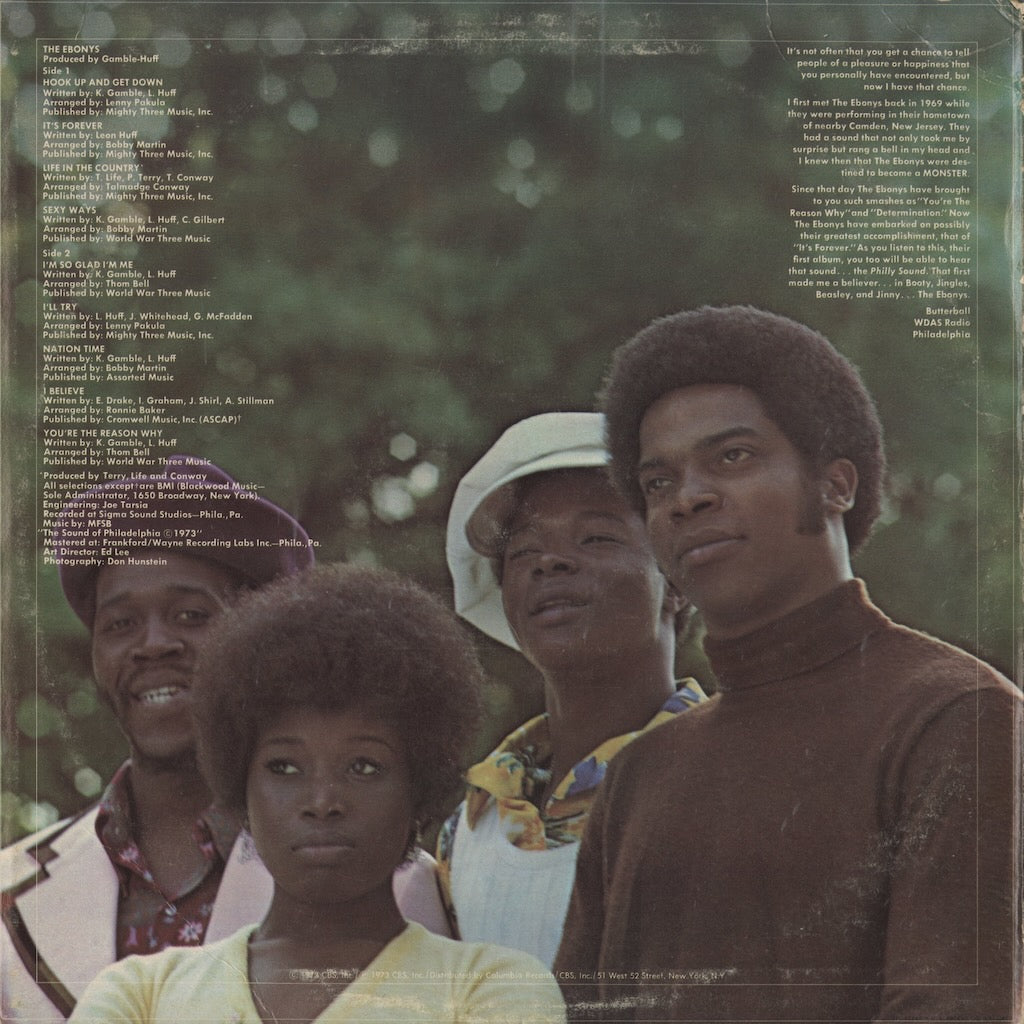 The Ebonys / エボニーズ / The Ebonys (1973) (KZ 32419)