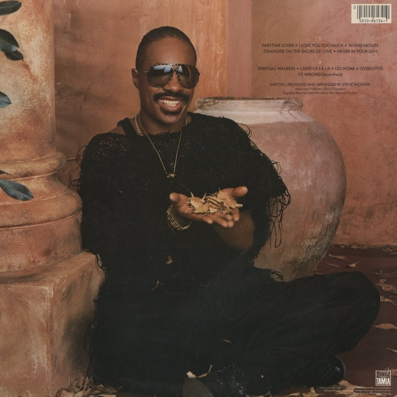 Stevie Wonder / スティーヴィ・ワンダー / In Square Circle (6134TL)