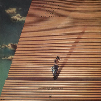 Masabumi Kikuchi / 菊地雅章 / Susto (25AH 1199)