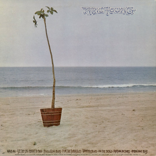 Neil Young - On The Beach (R 2180) 1974 US Reprise｜中古LP