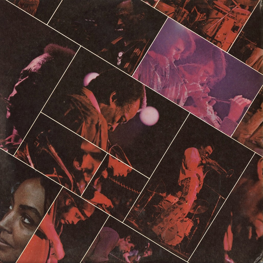 Miles Davis / マイルス・デイヴィス / At Fillmore (G 30038)