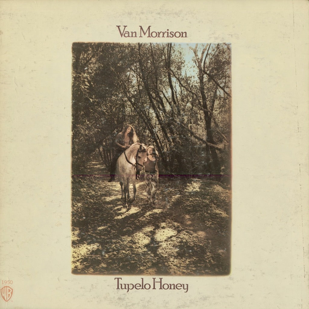 Van Morrison - Tupelo Honey (WS 1950) 1971 US Warner｜中古LP