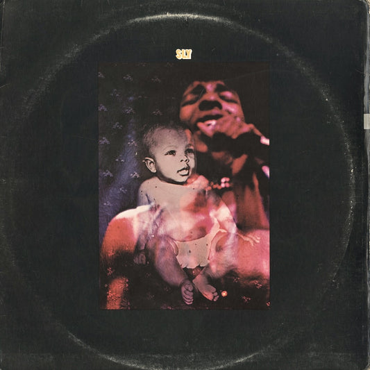 Sly & The Family Stone - Stand! (BN 26456) LP 1973 US Epic｜中古LP