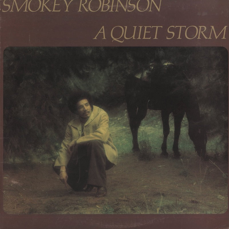 Smokey Robinson / スモーキー・ロビンソン / A Quiet Storm (T6-337S1)