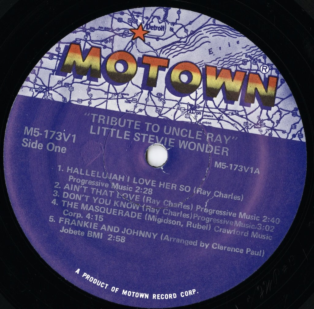 Stevie Wonder / スティーヴィー・ワンダー / Tribute Yo Uncle Ray (M5-173V1)