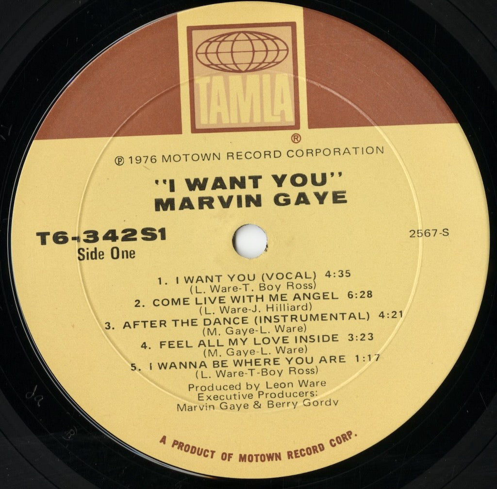 Marvin Gaye / マーヴィン・ゲイ / I Want You (T6 342S1)