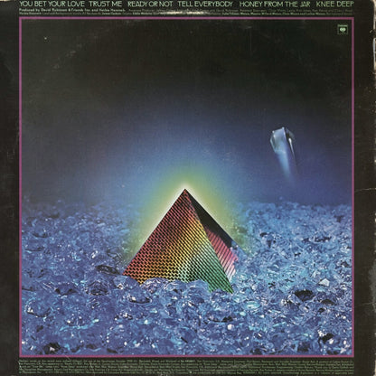 Herbie Hancock - Feets Don't Fail Me Now (JC35764) 1979 US Columbia｜中古LP