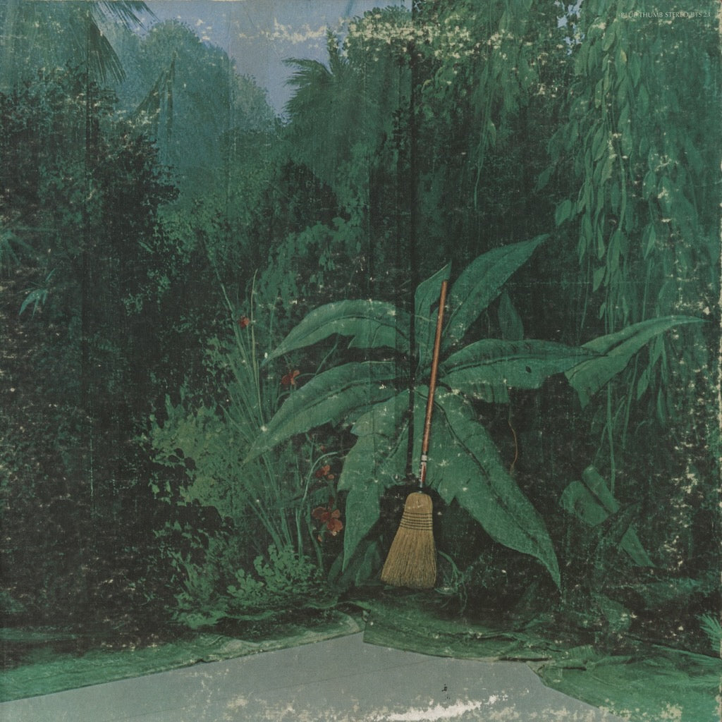 Gabor Szabo / ガボール・ザボ / Magical Connection (BTS-8823)