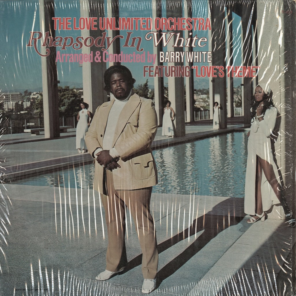 The Love Unlimited Orchestra / ラヴ・アンリミテッド・オーケストラ / Rhapsody In White (T-433)