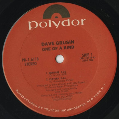Dave Grusin / デイヴ・グルーシン / One Of A Kind (PD-1-6118)
