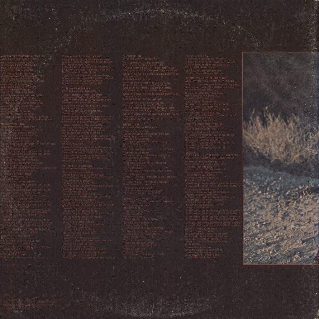 Stevie Wonder / スティーヴィ・ワンダー / Talking Book (T 319L)