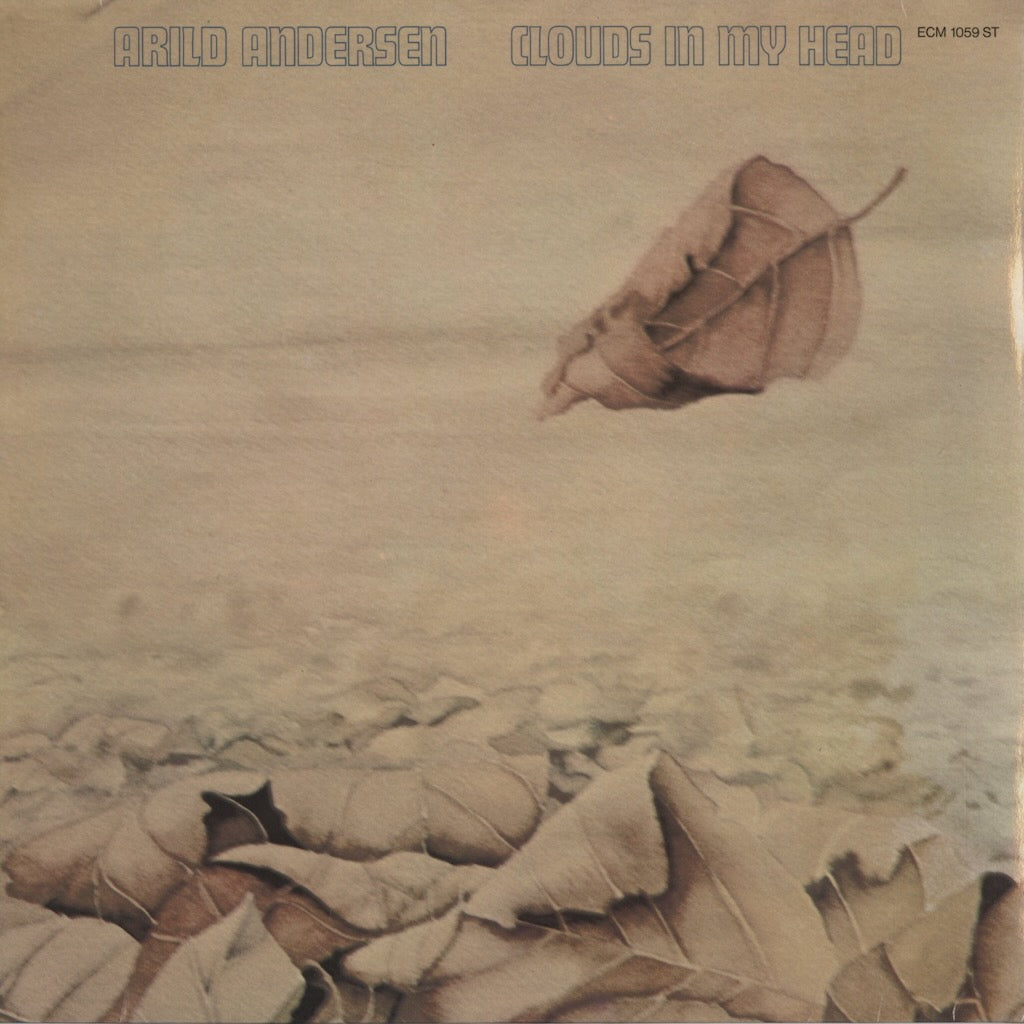 Arild Andersen / アリルド・アンデルセン /  Clouds In My Head (ECM 1059 ST)