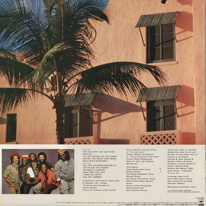 Third World / サード・ワールド / You've Got The Power (25AP 2285)