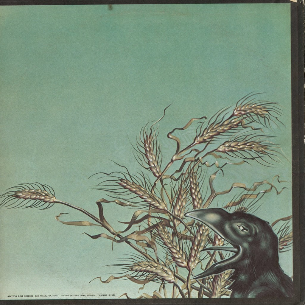 Grateful Dead - Wake Of The Flood (GD-01) 1973 US Grateful Dead Records｜中古LP