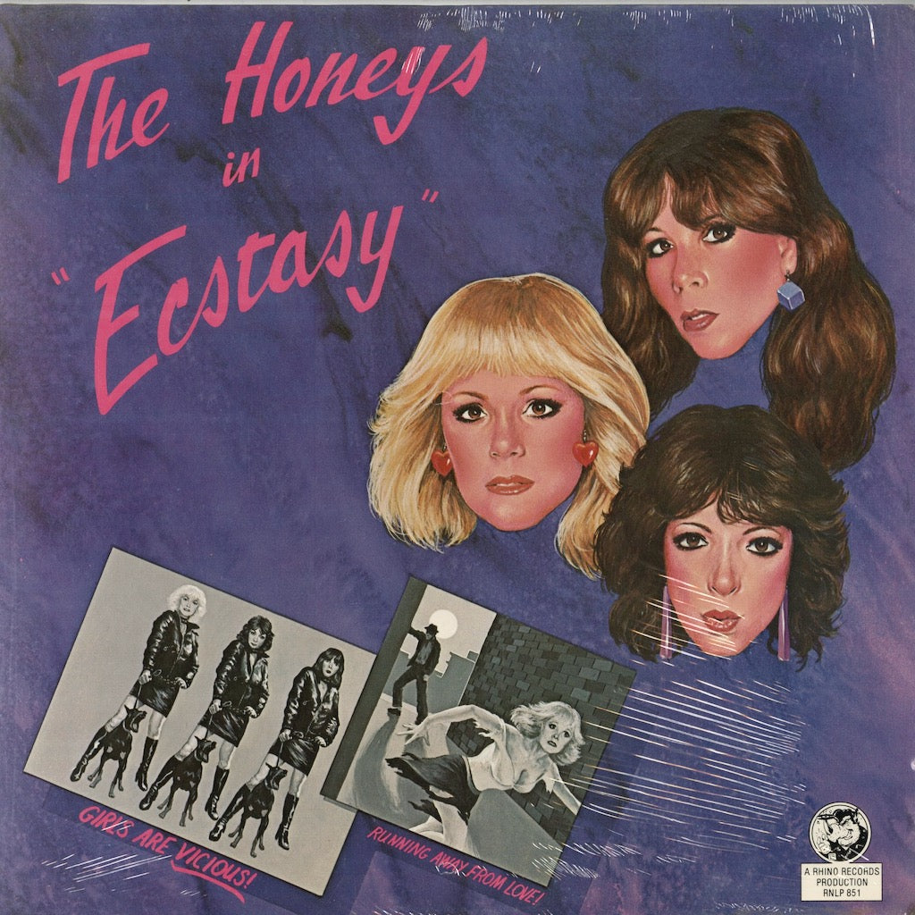 The Honeys - Ecstasy (RNLP 851) LP 1983 US Rhino 未開封シールド｜中古LP