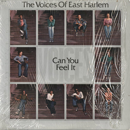 The Voices Of East Harlem - Can You Feel It (JSS-3504) 1974 US Just Sunshine Records｜中古LP
