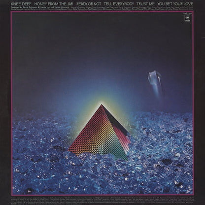 Herbie Hancock / ハービー・ハンコック / Feets Don't Fail Me Now (25AP-1340)