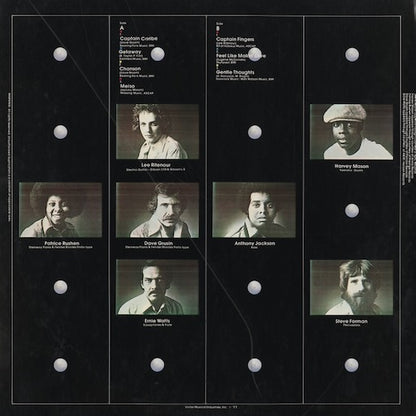 Lee Ritenour - Gentle Thoughts (VIDC-1) 1977 JPN JVC｜中古LP