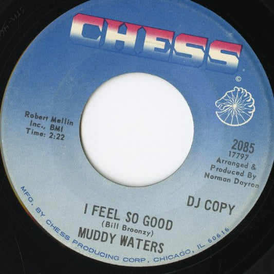Muddy Waters / マディ・ウォーターズ / I Feel So Good - Going Home (2085)